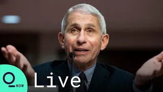 LIVE: Fauci Discusses Covid Surge, Vaccine Hopes in Washington, D.C.