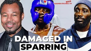 Shane Mosley Claims Errol Spence Left Terence Crawford "Damaged" in Sparring!