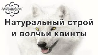 Натуральные строи. Волчьи квинты. Пространство кратностей (ПК). Мажор и минор. Тональность.