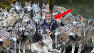 Старик приютил стаю волков и спас их от голода. И вот как они отблагодарили его в дальнейшем...