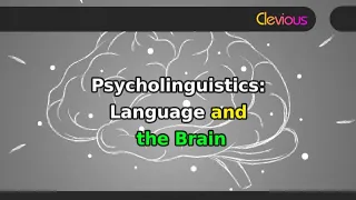 Psycholinguistics: Language and the Brain