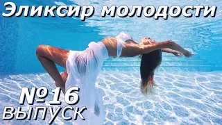 Эликсир молодости-Выпуск 16