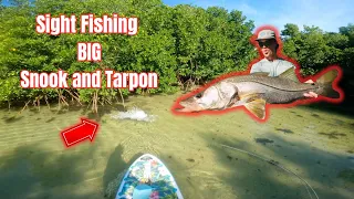 INSANE CLEAR WATER EAT - Paddleboard Sight Fishing for Snook and Tarpon on Fly