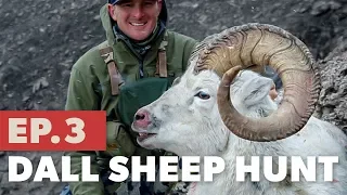 Kevin puts his hands on a beautiful Dall sheep - Dall Sheep Hunt Pt. 3 - TMP S5:E3