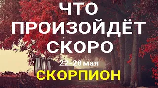 СКОРПИОН🍀 Прогноз на неделю (22-28 мая 2023). Расклад от ТАТЬЯНЫ КЛЕВЕР. Клевер таро.