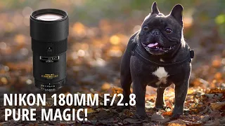 AF Nikkor 180mm f/2 8 D IF ED - Pure Magic!