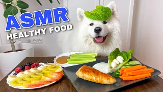 Dog Cooking And Eating Healthy Food