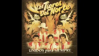 Mi Sangre Prisionera - Los Tigres Del Norte