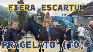 Fiera “ESCARTON” PRAGELATO con l’esaltante voce di ELISA PISOTTI Valchisone (TO)