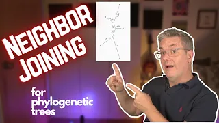 The Neighbour Joining algorithm for phylogenetic tree estimation