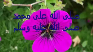 Noureddine Khourchid - صلى الله على محمد - نور الدين خورشيد Islamic arabic nasheed
