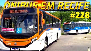 #228 Ônibus no Terminal Pelópidas - Movimentação de ônibus na região metropolitana do Recife