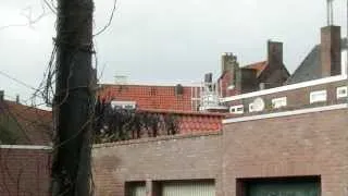 Boompjes in brand 22/2/2013 Hof van st. Jan - Middelburg