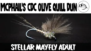Is This The Best Style of Wing for a CDC Dry Fly? - Fly Tying Tutorial (Baetis)