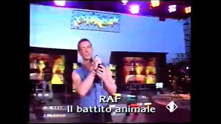 Raf - Battito animale | Festivalbar 1993