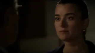 NCIS (8x8)