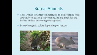 APES Unit 1: Topic 1.2 Terrestrial Biomes