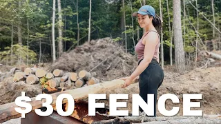 I BUILT A FENCE FOR $30 - for our homestead in the woods (log debarking)