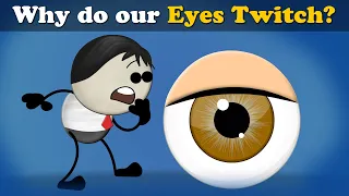 Why do our Eyes Twitch? + more videos | #aumsum #kids #science #education #children