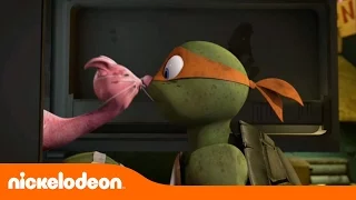 Las Tortugas Ninja | Gatito y Rafa | TMNT | Nickelodeon en Español