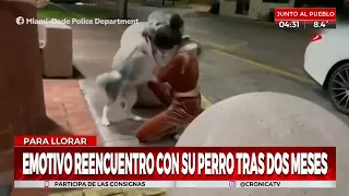 Emotivo reencuentro de un perro con su dueña