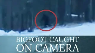 BIGFOOT CAUGHT ON CAMERA | Sasquatch Filmed During Family Christmas | Mountain Beast Mysteries 74