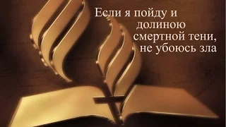 Если я пойду и долиною смертной тени,не убоюсь зла(Андрей Викторович Довгель)