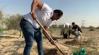 Planting Ghaf trees
