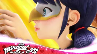 🐞New Transformation EAGLE MIRACULOUS | SEASON 4 |🐞Mayura, Hawk Moth Ladybug and Cat Noir