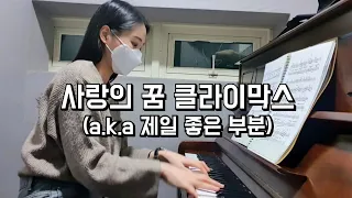 독학 취미생의 리스트 사랑의 꿈 클라이막스 연주 (감정표현은 늘 어려워..🤔) | Liszt Liebestraum Climax