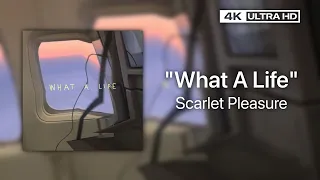 Scarlet Pleasure – What A Life | Lyrics (4K)