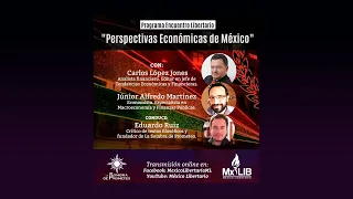 Encuentro Libertario. Programa 6: Perspectivas Económicas de México.