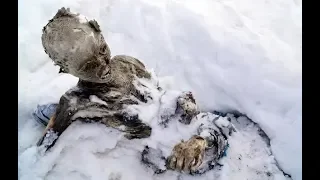 Top 10 Mysterious Things Found Frozen In Ice