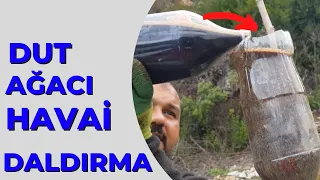 DUT Dalına Havai Daldırma