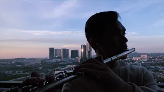 My Heart Will Go On by Celine Dion (Titanic) - Flute Cover