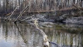 Море Судака в Затопленном Лесу. Подводная охота в Башкирии