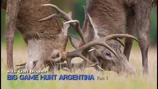 Охота с луком на крупную дичь Аргентина ️?+? = Большо