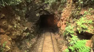 Great Smoky Mountains Railroad