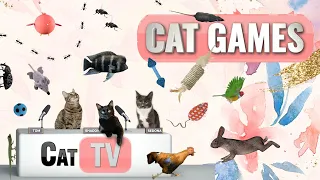 CAT Games | Ultimate Cat TV Compilation Vol 32 | 2 HOURS 🐝🐞🦋🦎🦜🐜🐭🧵