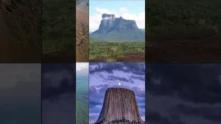 MOUNTAINS ARE PETRIFIED GIANT TREE STUMPS