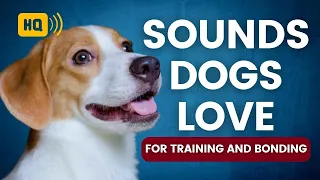 Sounds Dogs Love to Hear the Most for Training and Bonding