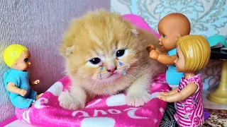 THE KITTEN WAS THROWN! Katya and Max funny family funny TV series funny dolls Darinelka