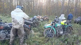 Гряземес на Днепрах и Уралах. Болото сожрало всех!