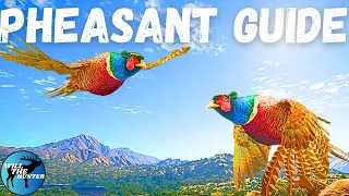 Rancho Del Arroyo Pheasant Guide! TheHunter Call of The Wild 2023