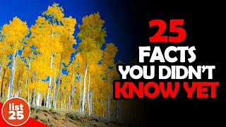 25 Things You Didn't Know