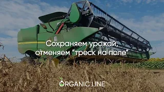Прибавка урожайности гороха на 20 ц/га за 1000 рублей. Рассказываем как!