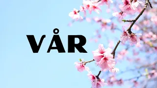 Vår  -  lær ord om våren