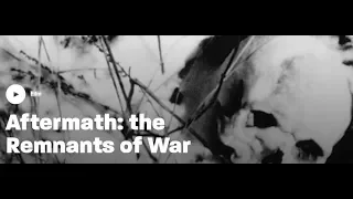 Aftermath | The Remnants of War | Violent Century