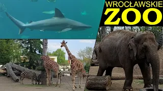 Ogród Zoologiczny we Wrocławiu (Zoo Wrocław) / Najstarszy ogród zoologiczny w Polsce ZWIEDZANIE ZOO