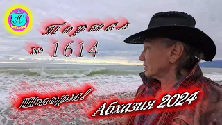 #Абхазия2024 🌴 23 марта❗Выпуск №1614❗ Погода от Серого Волка🌡вчера +12°🌡ночью +7°🐬море +10,9°